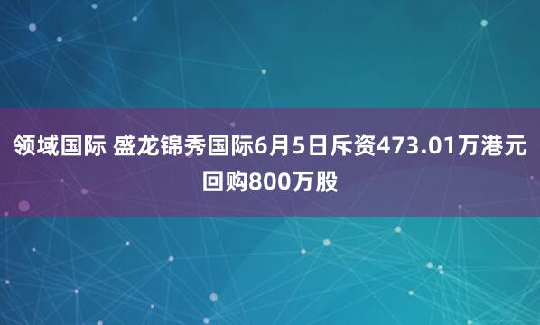 领域国际 盛龙锦秀国际6月5日斥资473.01万港元回购800万股