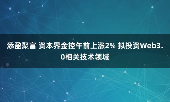 添盈聚富 资本界金控午前上涨2% 拟投资Web3.0相关技术领域