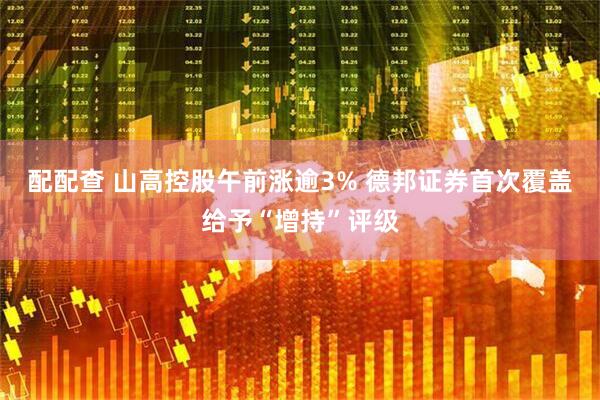 配配查 山高控股午前涨逾3% 德邦证券首次覆盖给予“增持”评级
