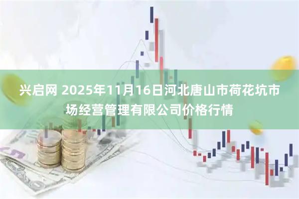 兴启网 2025年11月16日河北唐山市荷花坑市场经营管理有限公司价格行情